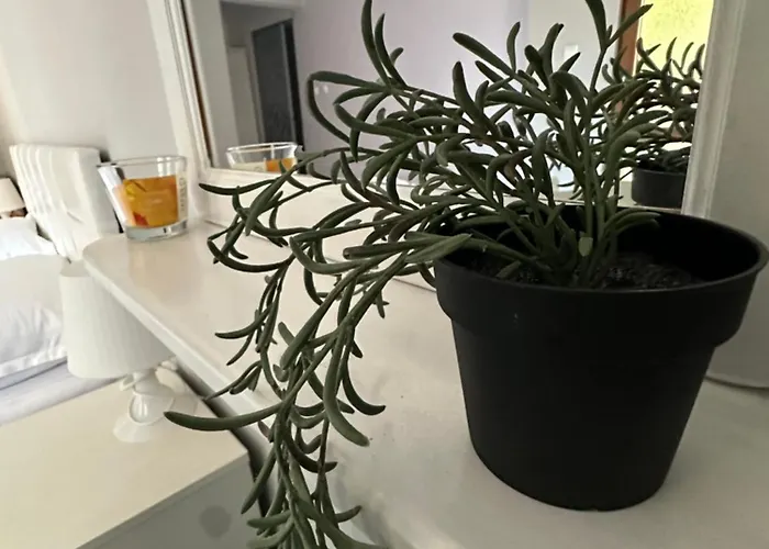 La Kameya Kiten (Burgas)