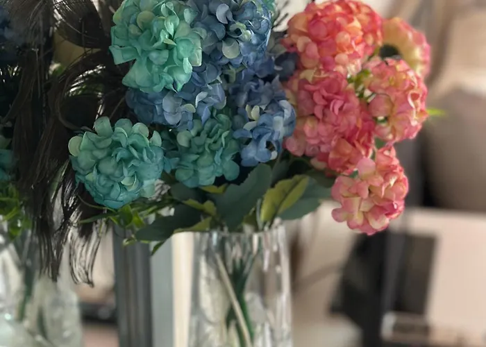 La Kameya Casa de hóspedes 2*